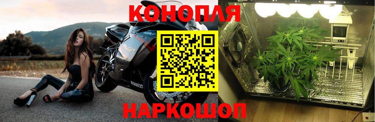 Бошки марихуана White Widow  Конопля SATIVA & INDICA  Ярославль  Канабис Bruce Banner  Вход с VPN 